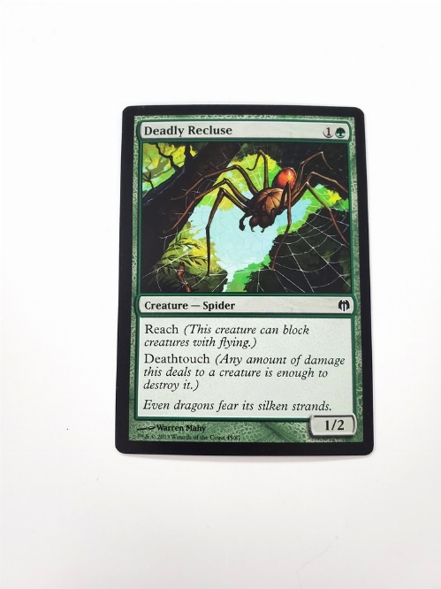 Deadly Recluse