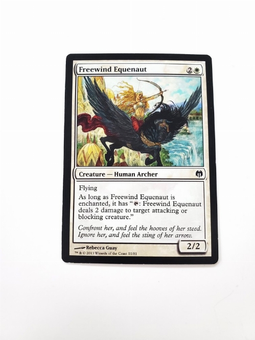 Freewind Equenaut