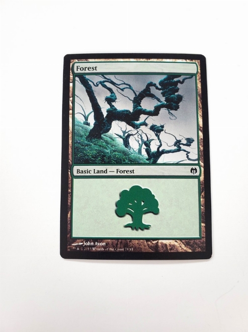 Forest (78)