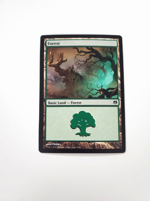 Forest (79)