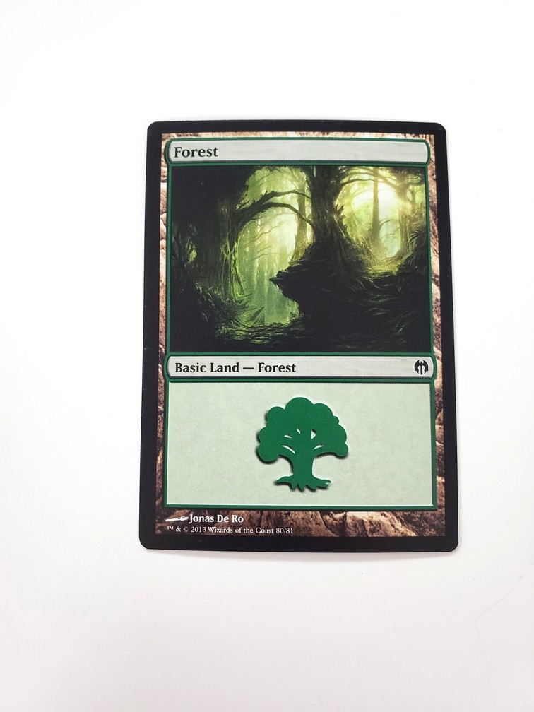 Forest (80)