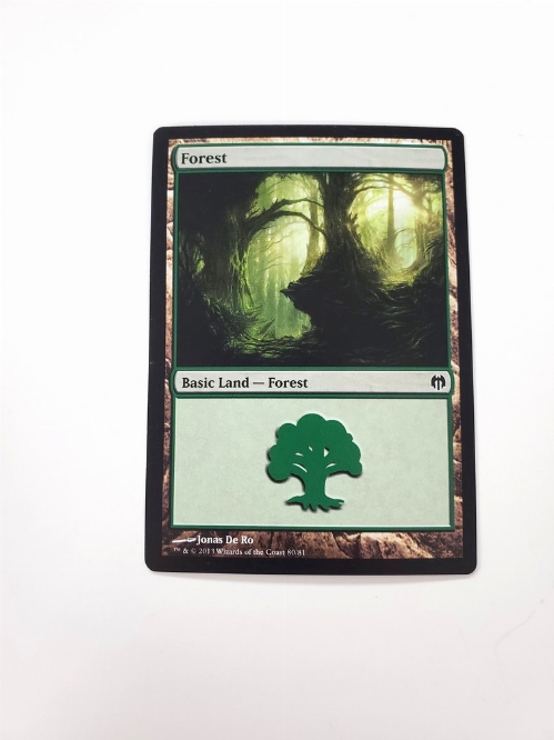 Forest (80)