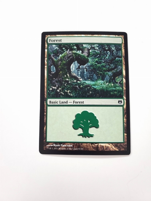 Forest (81)