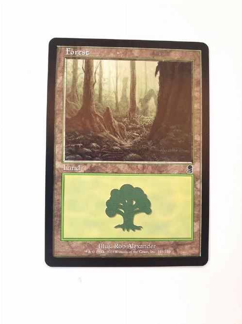 Forest (348)