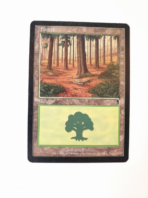 Forest (347)