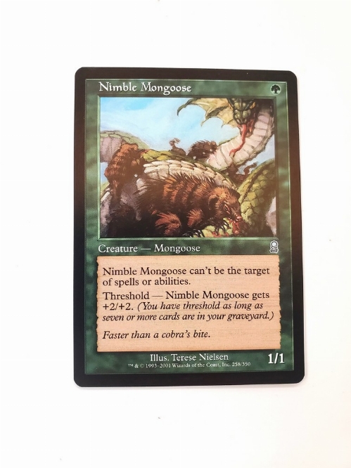 Nimble Mongoose