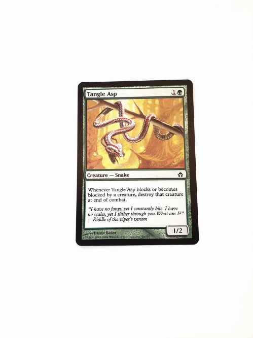 Tangle Asp