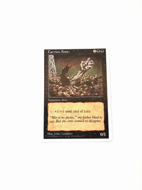 Carrion Ants