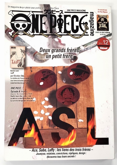One Piece: Magazine (Vol.12) (Francais)