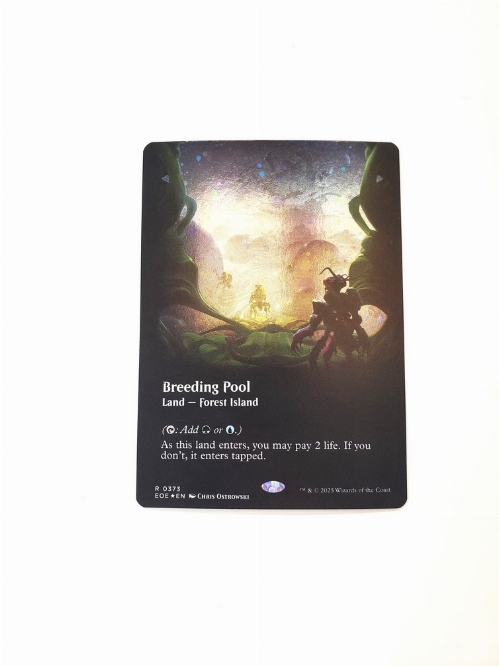 Breeding Pool (Borderless) (Galaxy Foil)
