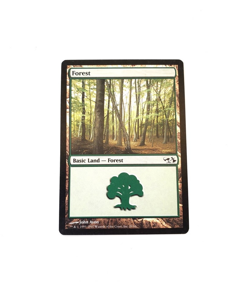Forest (29)