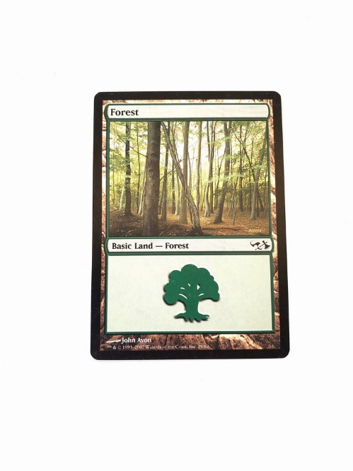 Forest (29)