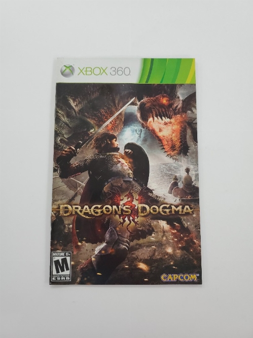 Dragon's Dogma (I)