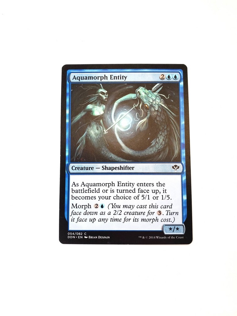 Aquamorph Entity
