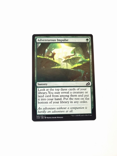 Adventurous Impulse
