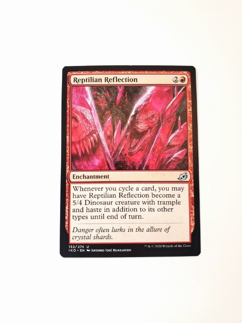 Reptilian Reflection