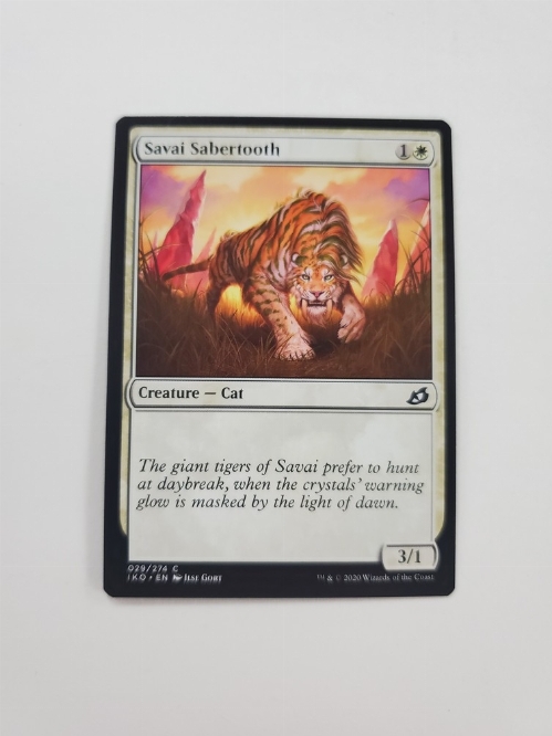 Savai Sabertooth