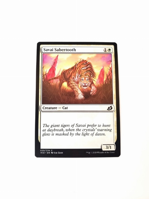 Savai Sabertooth