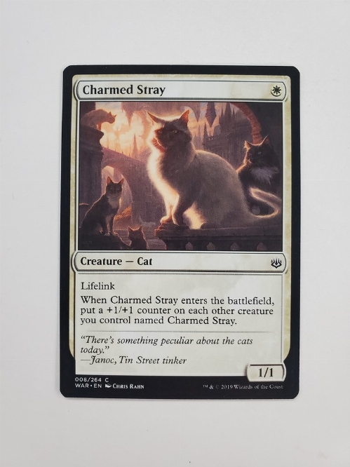 Charmed Stray