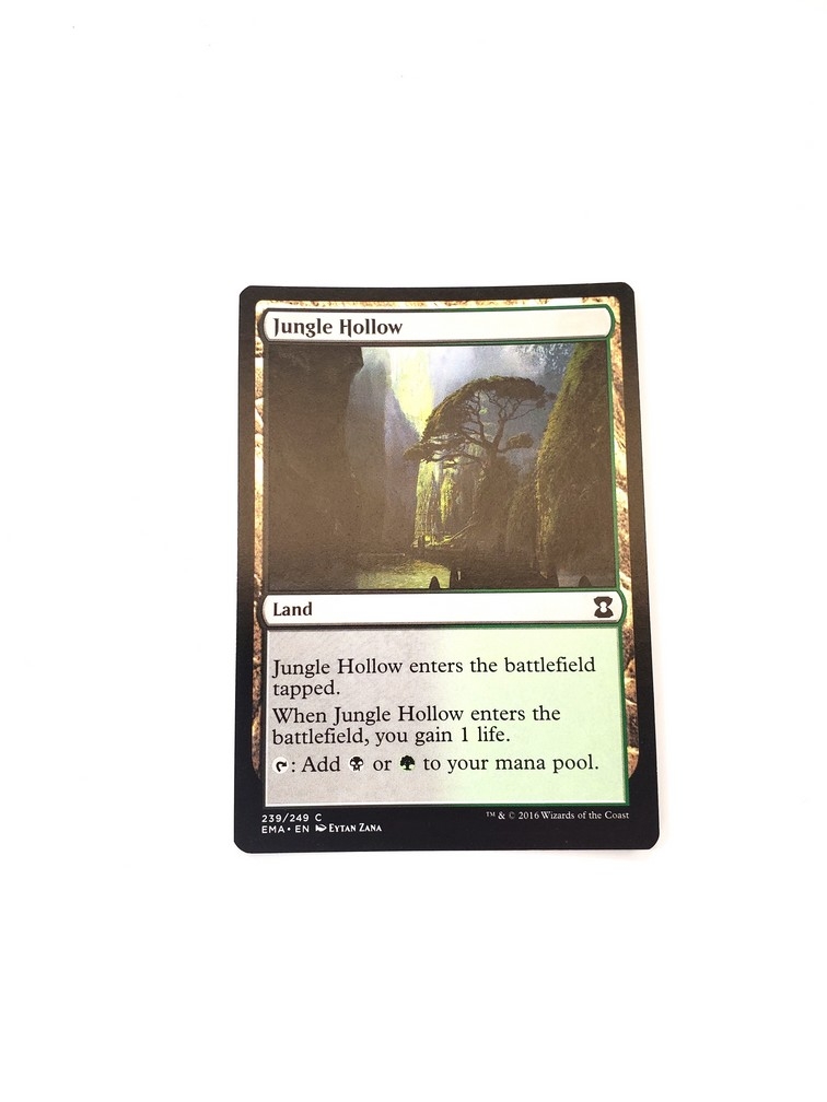 Jungle Hollow