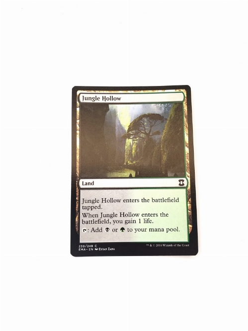 Jungle Hollow