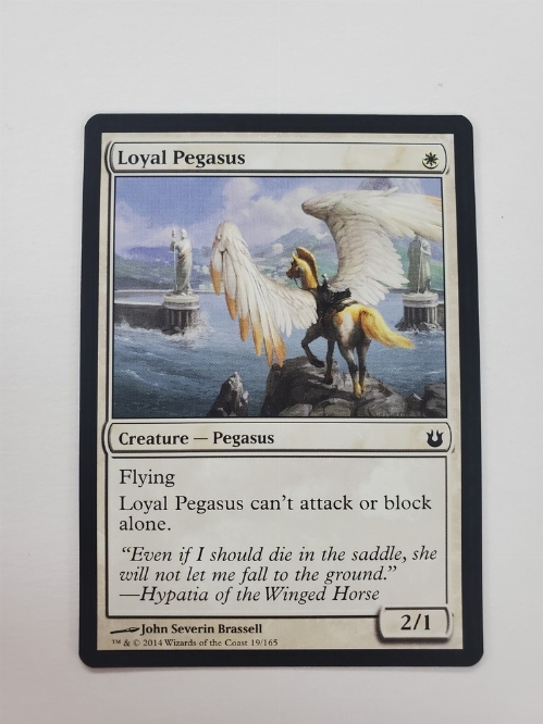 Loyal Pegasus