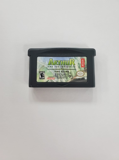 Arthur & The Invisibles: The Game (C)