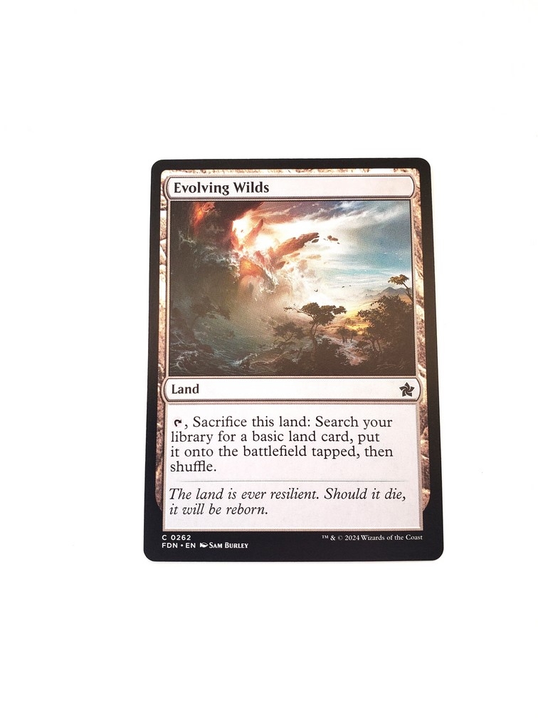 Evolving Wilds