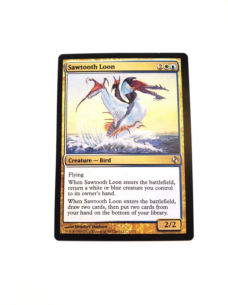 Sawtooth Loon