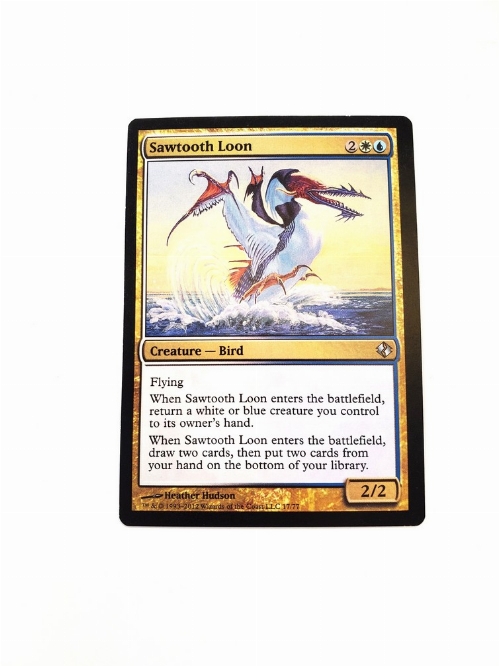 Sawtooth Loon