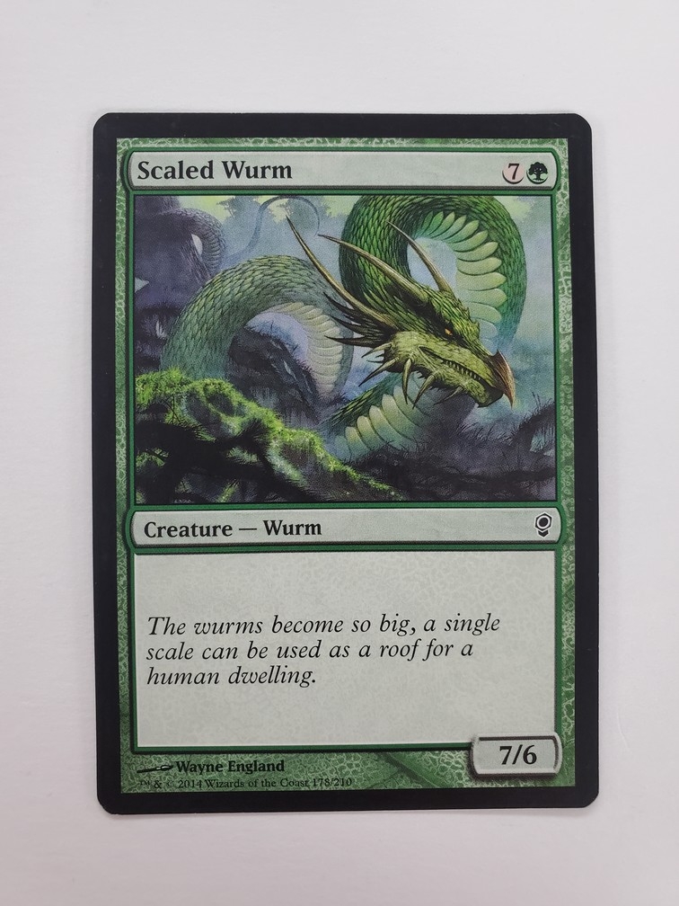 Scaled Wurm