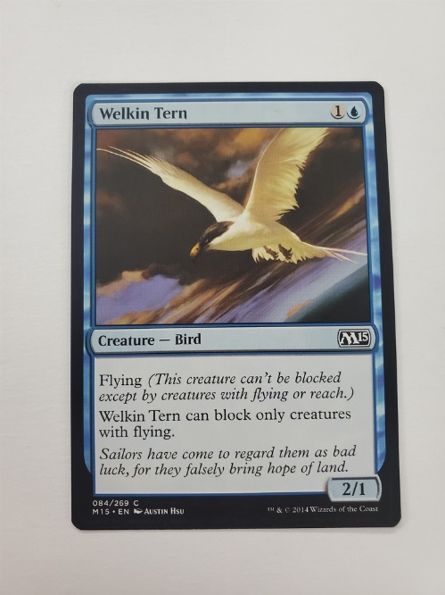 Welkin Tern