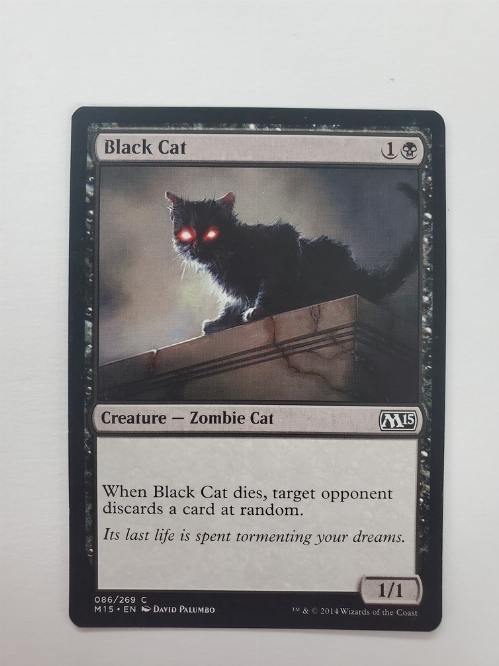 Black Cat