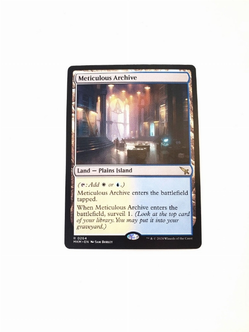 Meticulous Archive