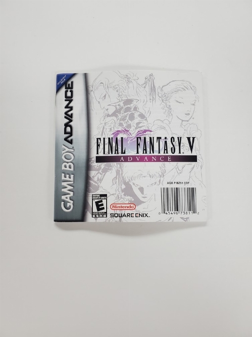 Final Fantasy V: Advance (I)