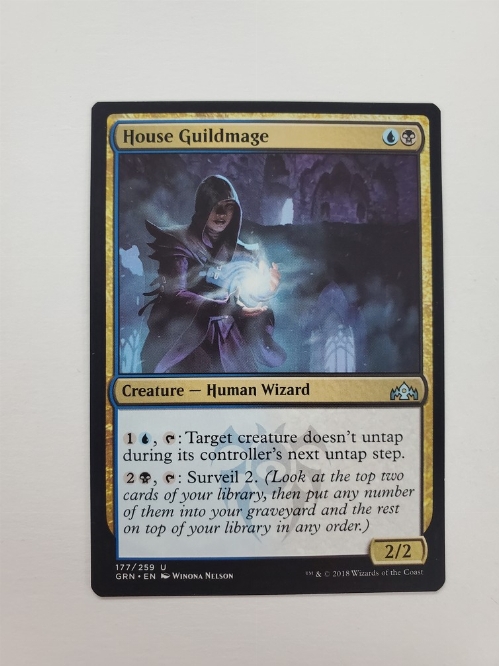 House Guildmage