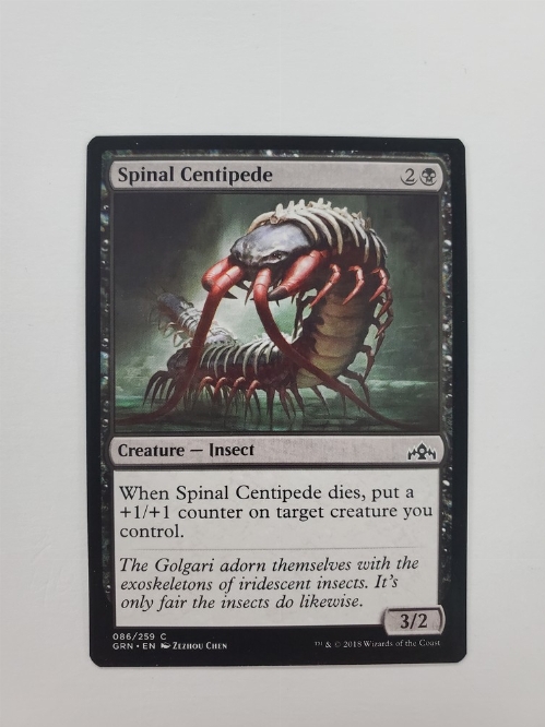 Spinal Centipede