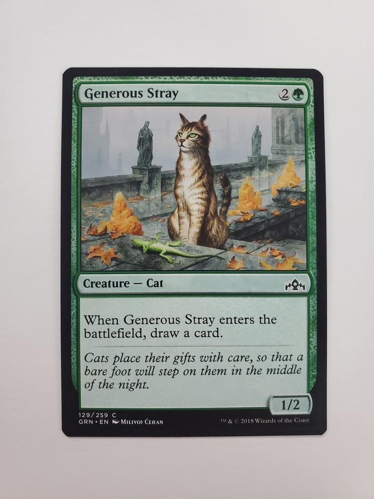 Generous Stray