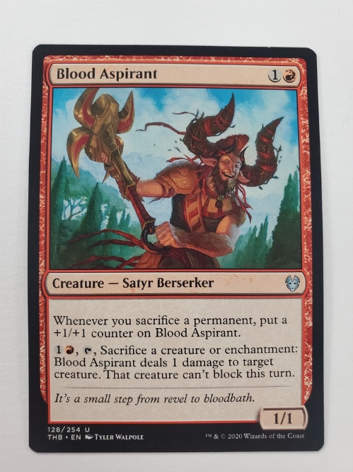 Blood Aspirant