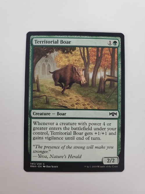 Territorial Boar