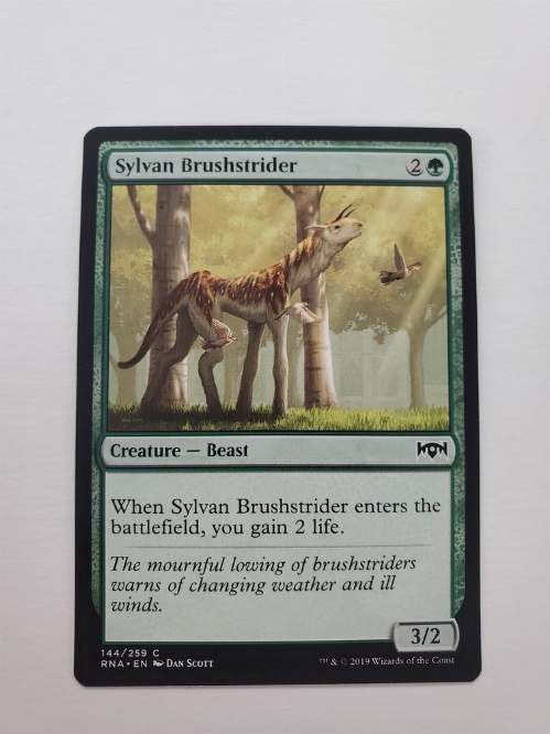 Sylvan Brushstrider