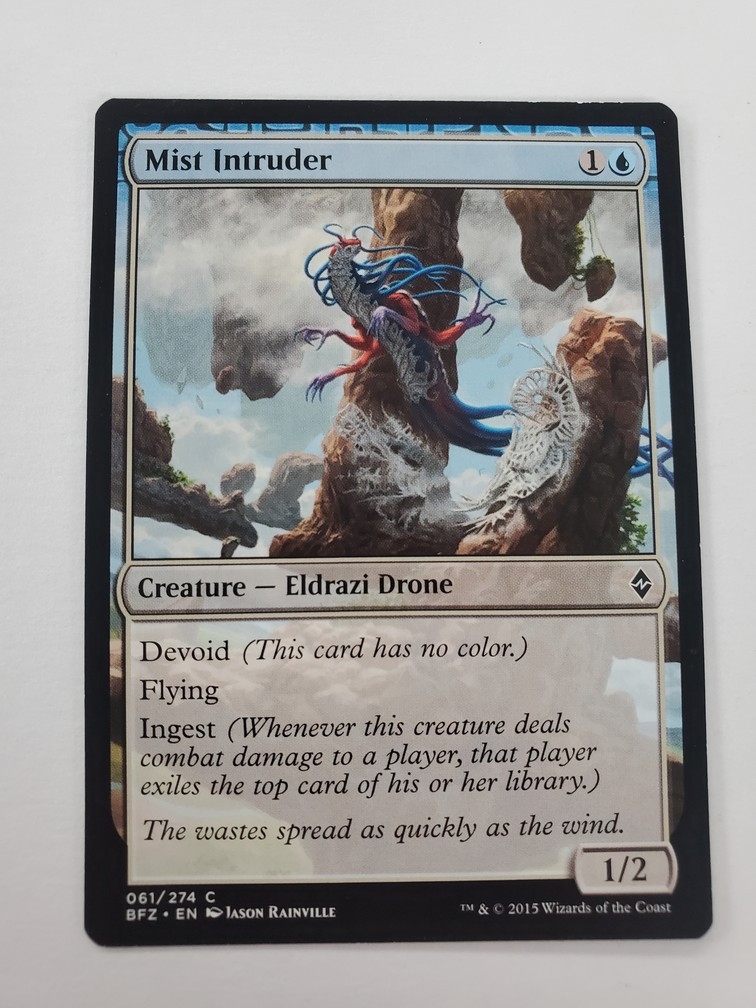 Mist Intruder