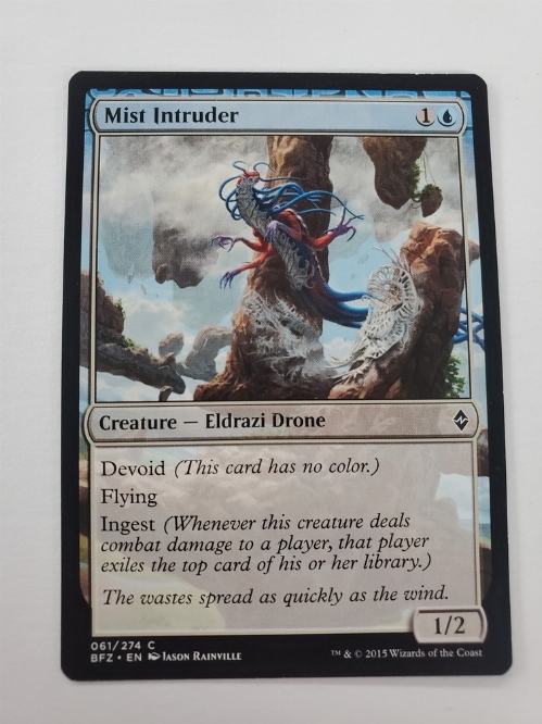 Mist Intruder