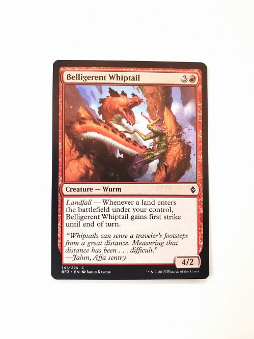 Belligerent Whiptail