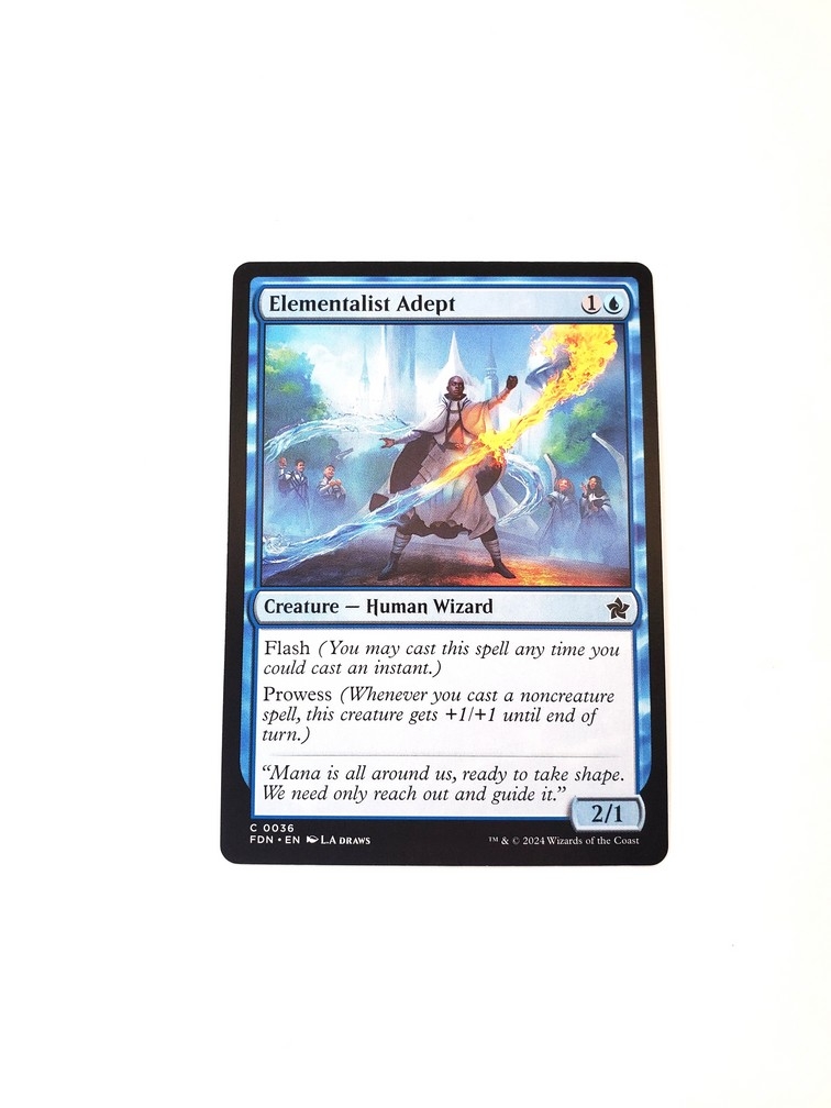 Elementalist Adept