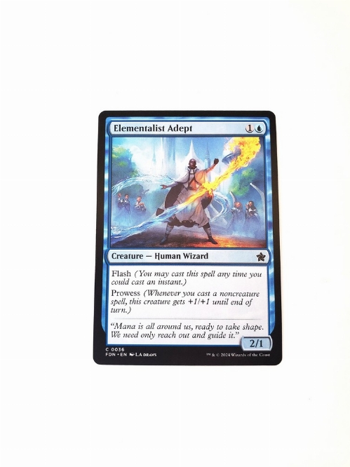Elementalist Adept