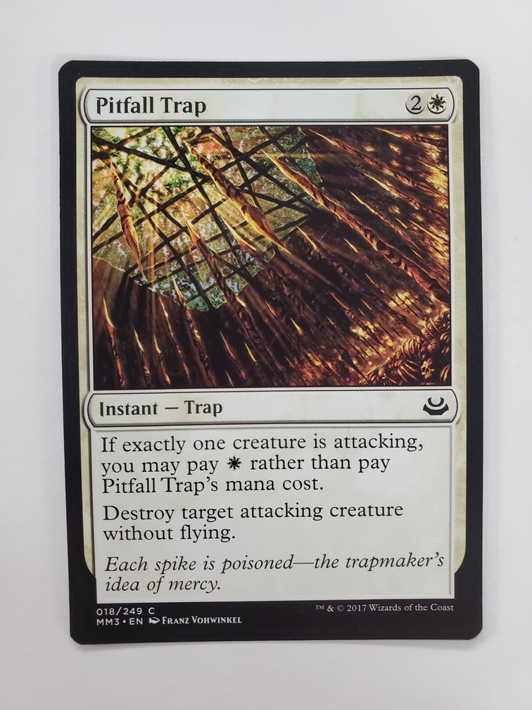 Pitfall Trap