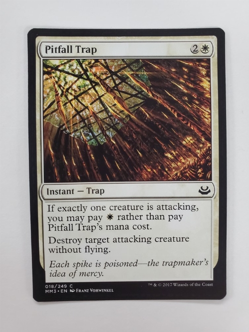 Pitfall Trap