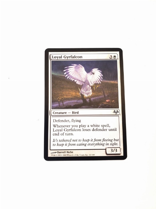 Loyal Gyrfalcon