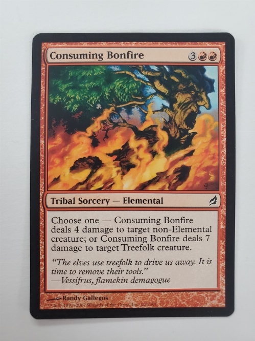 Consuming Bonfire